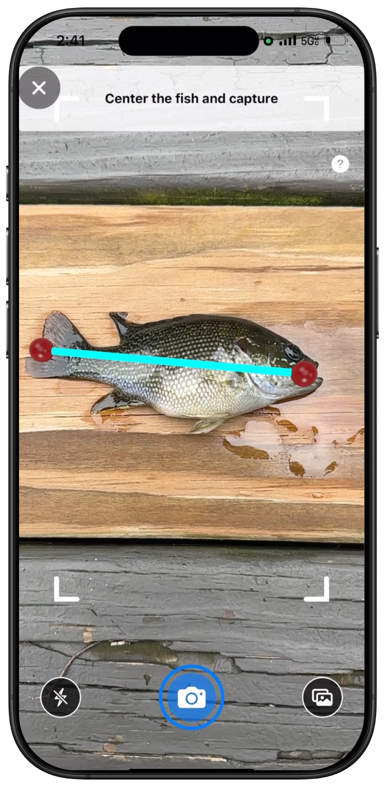Fish measurement screen